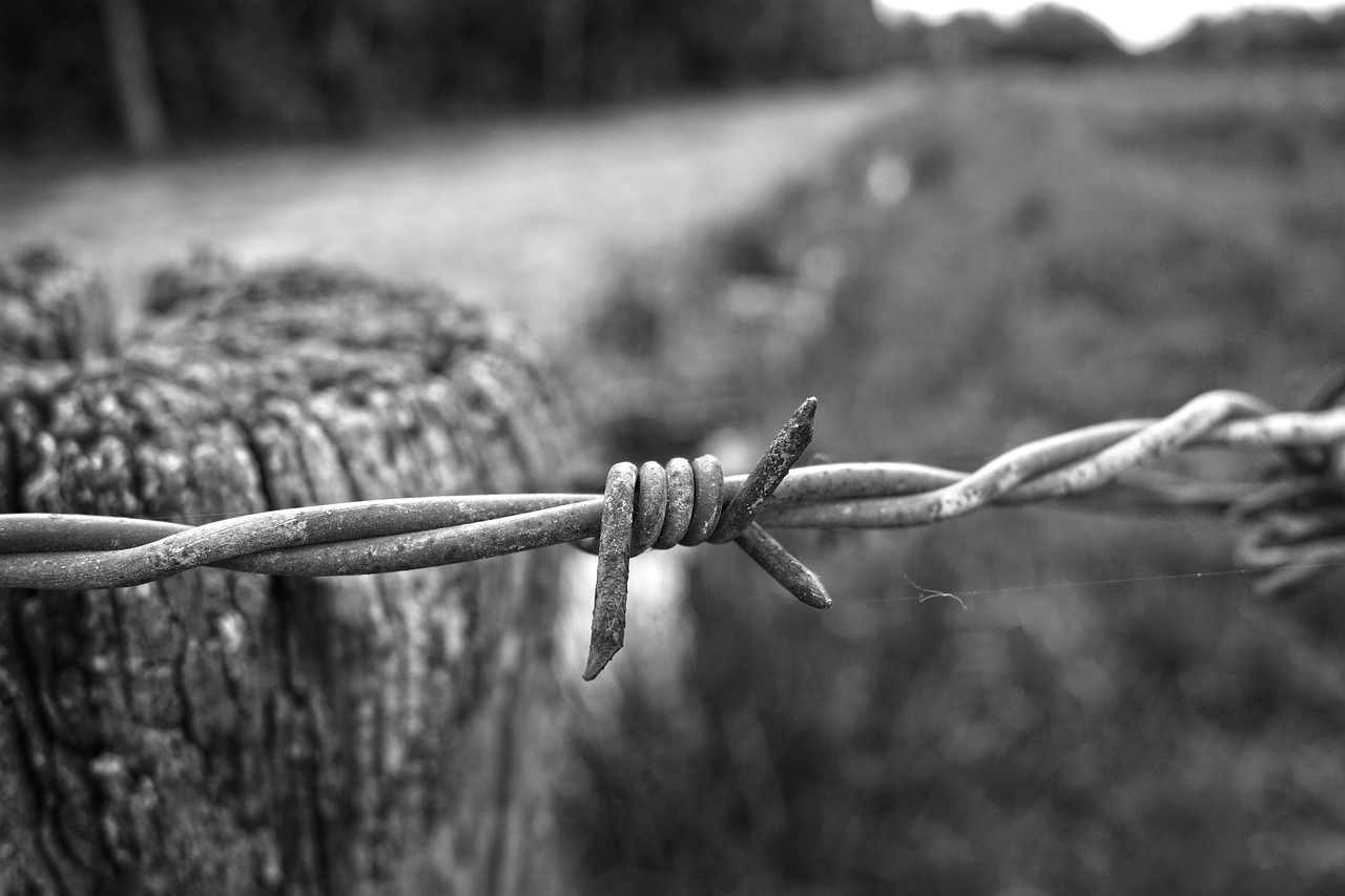 Tips For Identifying Phishing Emails